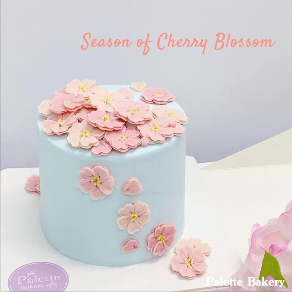 Season of Cherry Blossm - Palette Bakery
